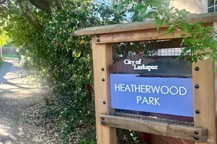 34 Diane Ln, Larkspur, CA 94939 - Photo 39