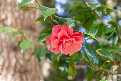 614 Deerfield Lane, Petaluma, CA 94952 - Photo 57