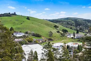 11 Hollyhock Ct, Mill Valley, CA 94941 - Photo 5