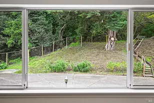 11 Hollyhock Ct, Mill Valley, CA 94941 - Photo 39