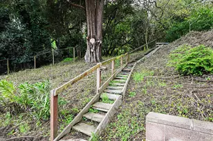 11 Hollyhock Ct, Mill Valley, CA 94941 - Photo 63