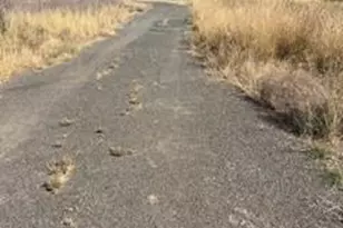 11727 Elk Mountain Rd, Upper Lake, CA 94585 - Photo 9