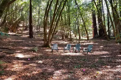 12195 Fiori Lane, Sebastopol, CA 95472 - Photo 83