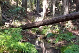 12195 Fiori Ln, Sebastopol, CA 95472 - Photo 85