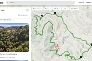 169 Rose Ave, Mill Valley, CA 94941 - Photo 65