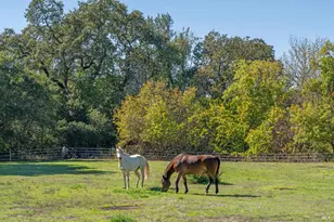 1603 Balverne Ln, Windsor, CA 95492 - Photo 63