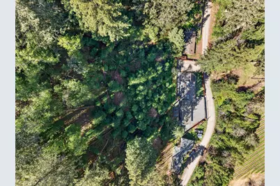 11207 Vellutini Road, Forestville, CA 95436 - Photo 41