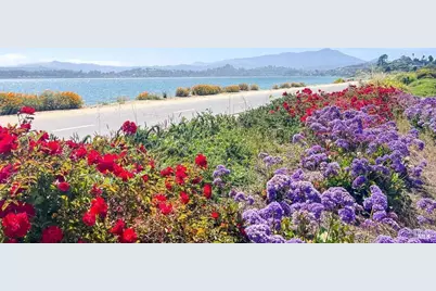 283 Karen Way, Tiburon, CA 94920 - Photo 79