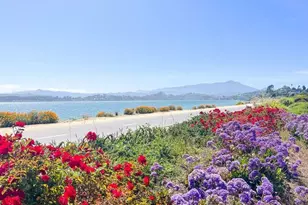 283 Karen Way, Tiburon, CA 94920 - Photo 79