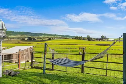 166 Davis Lane, Penngrove, CA 94951 - Photo 43