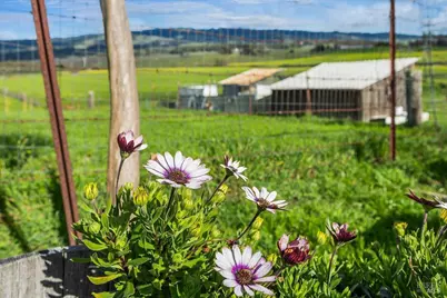 166 Davis Lane, Penngrove, CA 94951 - Photo 47