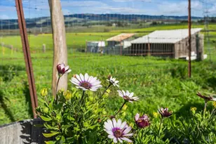 166 Davis Ln, Penngrove, CA 94951 - Photo 47