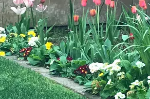 2703 Brush Creek Rd, Santa Rosa, CA 95404 - Photo 85