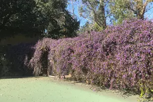 2703 Brush Creek Rd, Santa Rosa, CA 95404 - Photo 81