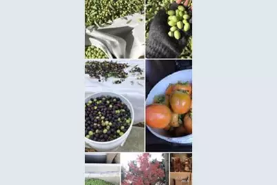 2703 Brush Creek Road, Santa Rosa, CA 95404 - Photo 79