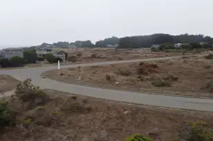 74 Burl Tree, The Sea Ranch, CA 95497 - Photo 7