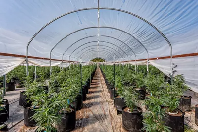 2000 Clover Valley Road, Upper Lake, CA 95485 - Photo 11