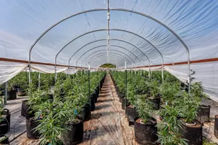 2000 Clover Valley Rd, Upper Lake, CA 95485 - Photo 11