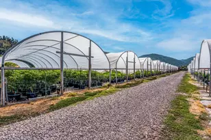 2000 Clover Valley Rd, Upper Lake, CA 95485 - Photo 25