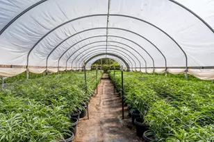 2000 Clover Valley Rd, Upper Lake, CA 95485 - Photo 9