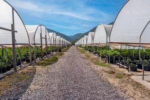 2000 Clover Valley Rd, Upper Lake, CA 95485 - Photo 7