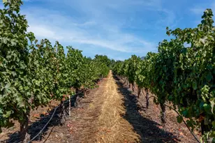 2000 Clover Valley Rd, Upper Lake, CA 95485 - Photo 19