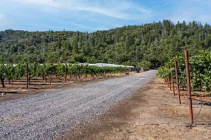 2000 Clover Valley Rd, Upper Lake, CA 95485 - Photo 5