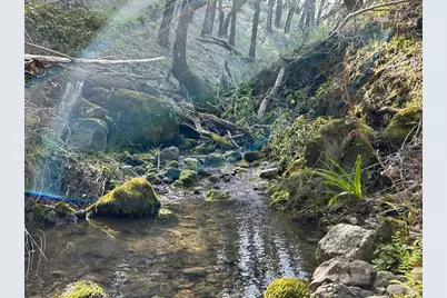 2150 Baywood Way, Willits, CA 95490 - Photo 7