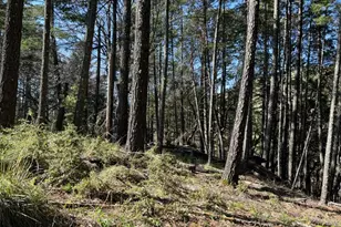 2150 Baywood Way, Willits, CA 95490 - Photo 1