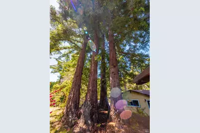 7701 Signal Ridge Road, Philo, CA 95466 - Photo 29