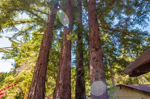 7701 Signal Ridge Rd, Philo, CA 95466 - Photo 29