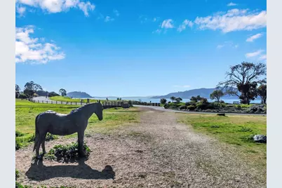 3 Trestle Glen Circle, Tiburon, CA 94920 - Photo 73