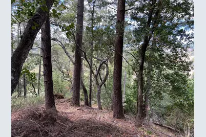 0 Laurel Avenue, Woodacre, CA 94973 - Photo 5