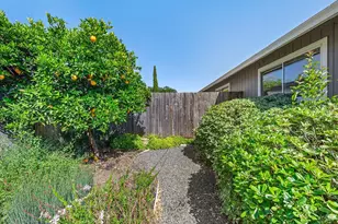 431 University St, Healdsburg, CA 95448 - Photo 35