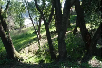 317 Coleman Drive, San Rafael, CA 94901 - Photo 7