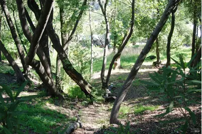 317 Coleman Drive, San Rafael, CA 94901 - Photo 3