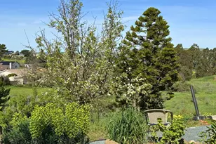 97 Carlisle Way, Benicia, CA 94510 - Photo 33