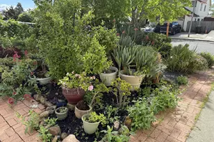 97 Carlisle Way, Benicia, CA 94510 - Photo 41