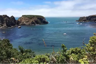 0 Iversen Drive, Gualala, CA 95445 - Photo 9