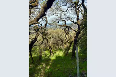 3494 Holland Drive, Santa Rosa, CA 95404 - Photo 5