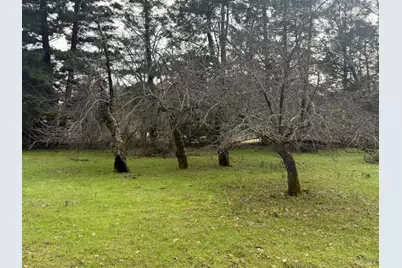 44050 Briggs Lane, Laytonville, CA 95454 - Photo 5