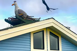 38 S 40 Dock, Sausalito, CA 94965 - Photo 49