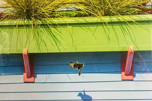 38 S 40 Dock, Sausalito, CA 94965 - Photo 53