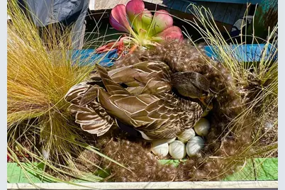 38 S. 40 Dock, Sausalito, CA 94965 - Photo 57