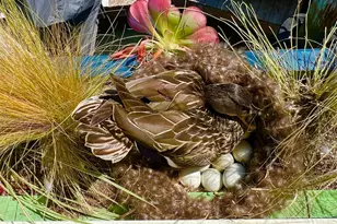 38 S 40 Dock, Sausalito, CA 94965 - Photo 57