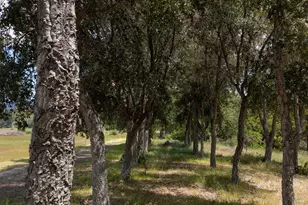 1106 Bel Arbres Dr, Redwood Valley, CA 95470 - Photo 75