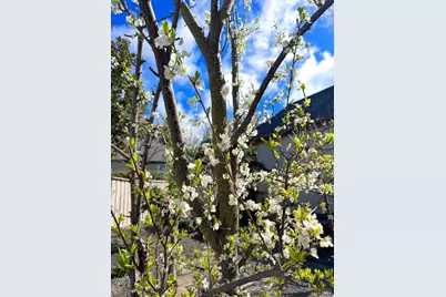 1878 Adobe Creek Drive, Petaluma, CA 94954 - Photo 45