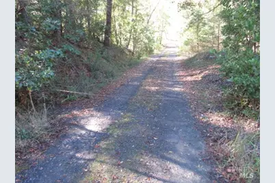 20515 Fort Ross Road, Cazadero, CA 95421 - Photo 3