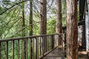 7456 Sir Francis Drake Blvd, Lagunitas, CA 94938 - Photo 55