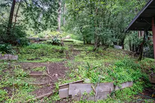 7456 Sir Francis Drake Blvd, Lagunitas, CA 94938 - Photo 69